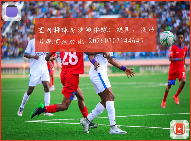室内排球与沙滩排球:规则、技巧与观赏性对比_20260707144645